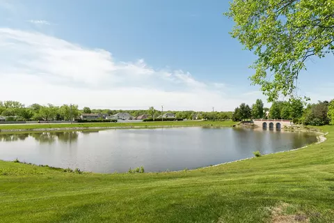 View/Area - 9779 Cambridge Cir, Mokena, IL 60448 photo 3 of 4