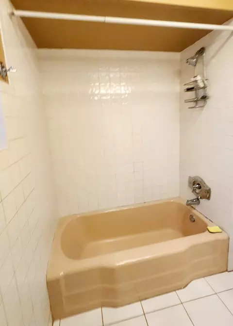 363 E 90th Pl, Chicago, IL 60619 photo 12