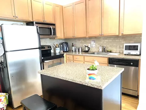 1 E 8th St #509, Chicago, IL 60605 photo 6