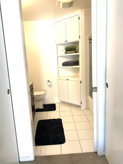 1 E 8th St #509, Chicago, IL 60605 photo 5