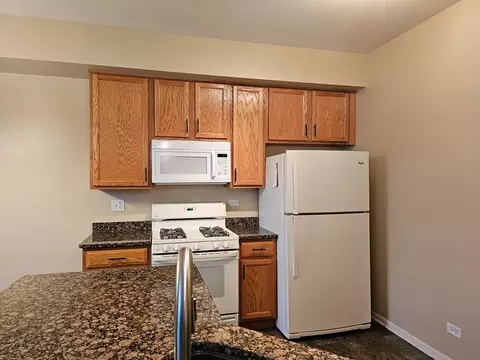 11827 Ford Ct, Plainfield, IL 60585 photo 17