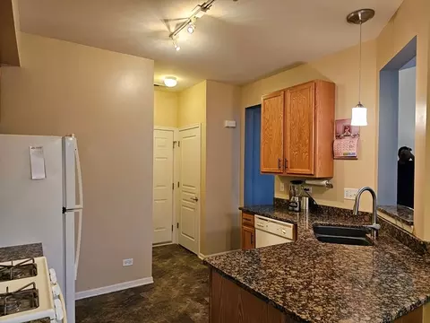 11827 Ford Ct, Plainfield, IL 60585 photo 12