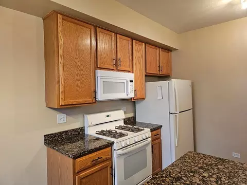 11827 Ford Ct, Plainfield, IL 60585 photo 11