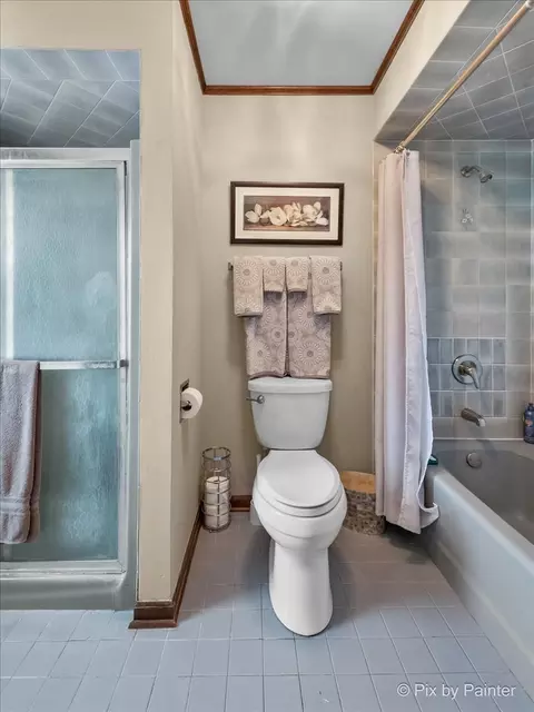 Bath - 1405 Michelline Ct, Hoffman Estates, IL 60192 photo 4 of 4