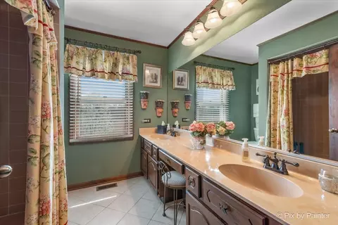 Bath - 1405 Michelline Ct, Hoffman Estates, IL 60192 photo 2 of 4