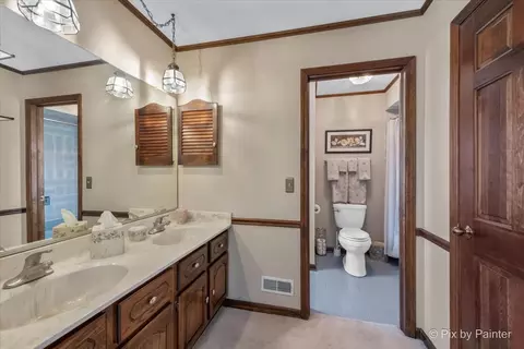 Bath - 1405 Michelline Ct, Hoffman Estates, IL 60192 photo 3 of 4