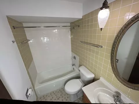 Bath - 129 Gregory St #5, Aurora, IL 60504 photo 2 of 4