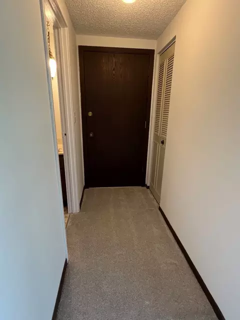 Entry Way - 129 Gregory St #5, Aurora, IL 60504 photo 1 of 1