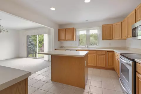 17717 Springbrook Cir, Union, IL 60180 photo 5