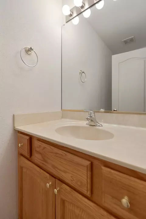 17717 Springbrook Cir, Union, IL 60180 photo 11
