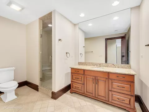 509 Ridgemoor Dr, Willowbrook, IL 60527 photo 67