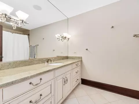 509 Ridgemoor Dr, Willowbrook, IL 60527 photo 51