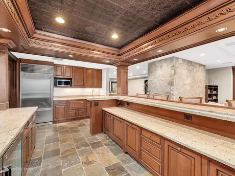 509 Ridgemoor Dr, Willowbrook, IL 60527 photo 60