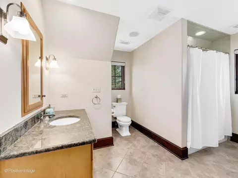 509 Ridgemoor Dr, Willowbrook, IL 60527 photo 49