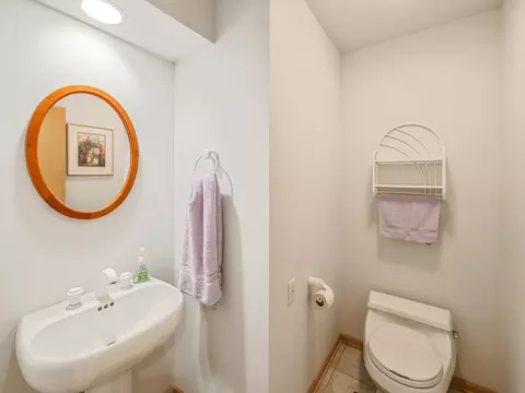 1515 Pine St, Spring Grove, IL 60081 photo 25