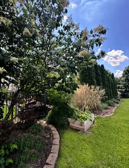 Exterior - 4801 Sandcherry Dr, Champaign, IL 61822 photo 22 of 35