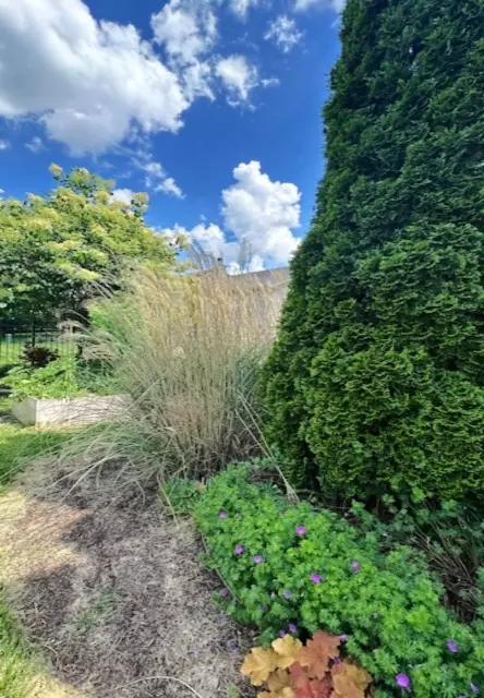 Exterior - 4801 Sandcherry Dr, Champaign, IL 61822 photo 24 of 35