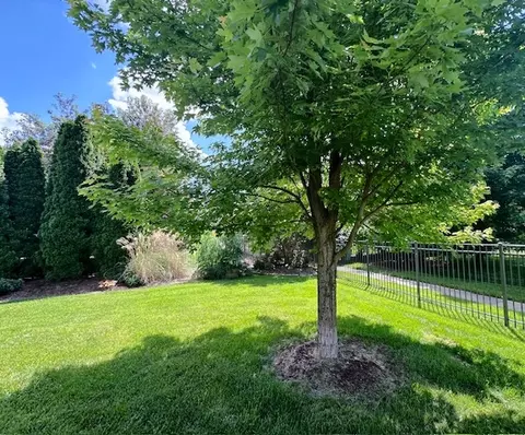 Exterior - 4801 Sandcherry Dr, Champaign, IL 61822 photo 32 of 35