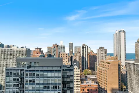 20 E Cedar St #17C, Chicago, IL 60611 photo 31