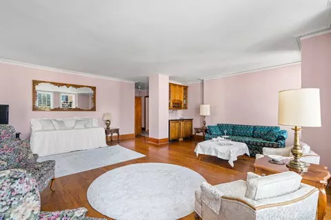 20 E Cedar St #17C, Chicago, IL 60611 photo 6