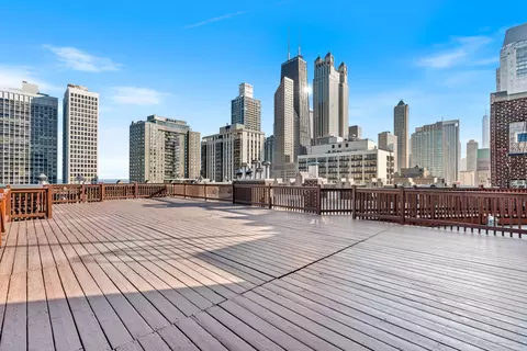 20 E Cedar St #17C, Chicago, IL 60611 photo 30