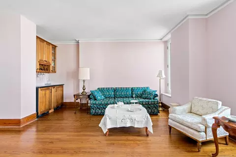 20 E Cedar St #17C, Chicago, IL 60611 photo 8