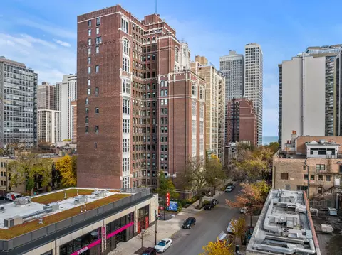 20 E Cedar St #17C, Chicago, IL 60611 photo 27