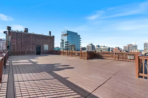 20 E Cedar St #17C, Chicago, IL 60611 photo 33