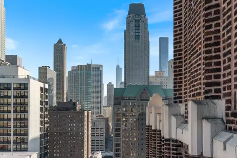 20 E Cedar St #17C, Chicago, IL 60611 photo 35