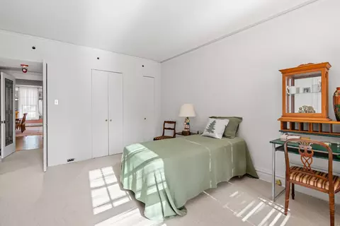 20 E Cedar St #17C, Chicago, IL 60611 photo 23