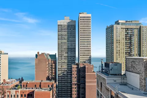 20 E Cedar St #17C, Chicago, IL 60611 photo 32
