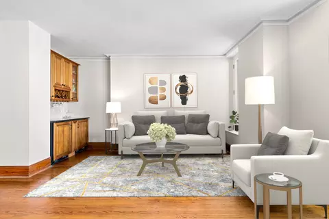 20 E Cedar St #17C, Chicago, IL 60611 photo 7