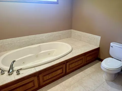 11980 195th St, Mokena, IL 60448 photo 31