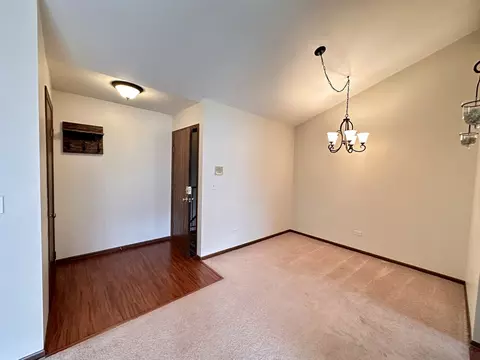 Other - 241 Stanhope Dr #C, Willowbrook, IL 60527 photo 1 of 4