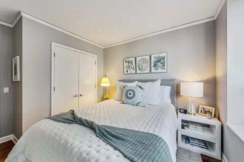 450 E Waterside Dr #2409, Chicago, IL 60601 photo 27