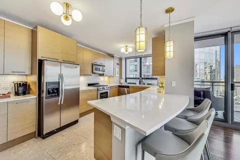 450 E Waterside Dr #2409, Chicago, IL 60601 photo 14