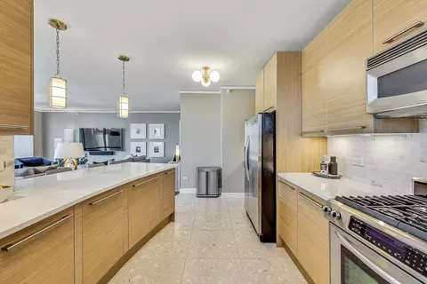 450 E Waterside Dr #2409, Chicago, IL 60601 photo 16