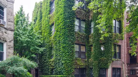 5350 N Glenwood Ave #1E, Chicago, IL 60640