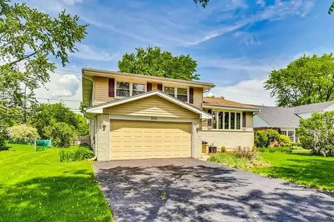 910 W Whitegate Dr, Mount Prospect, IL 60056 photo 2