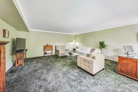 910 W Whitegate Dr, Mount Prospect, IL 60056 photo 18