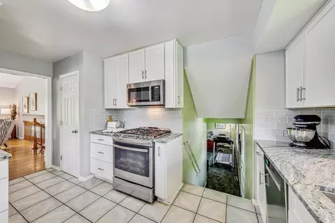 910 W Whitegate Dr, Mount Prospect, IL 60056 photo 14