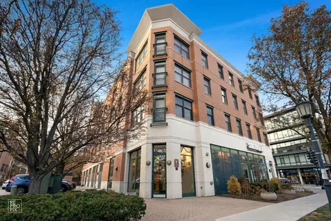 125 N Euclid Ave #302, Oak Park, IL 60301