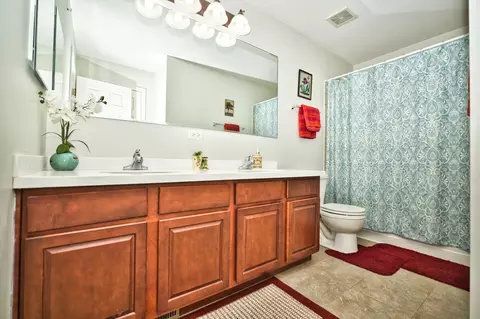 Bath - 5950 Chatham Dr, Hoffman Estates, IL 60192 photo 3 of 6