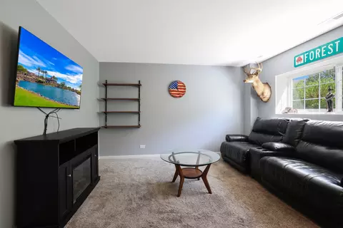 Living - 1698 Ruby Dr, Pingree Grove, IL 60140 photo 5 of 6