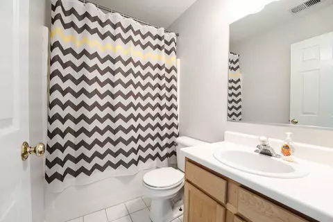 Bath - 24043 Pear Tree Cir, Plainfield, IL 60585 photo 3 of 3