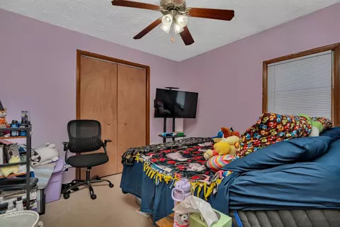 Bedroom - 129 E Main St, Braidwood, IL 60408 photo 2 of 3