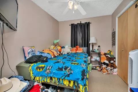 Bedroom - 129 E Main St, Braidwood, IL 60408 photo 3 of 3