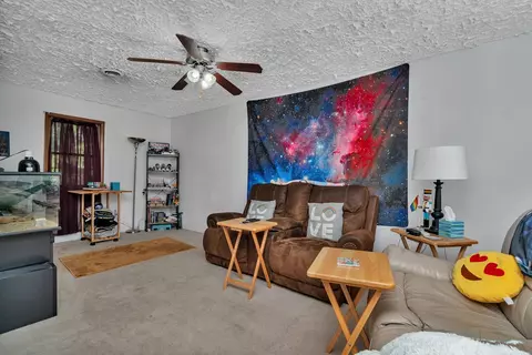 Other - 129 E Main St, Braidwood, IL 60408 photo 7 of 9