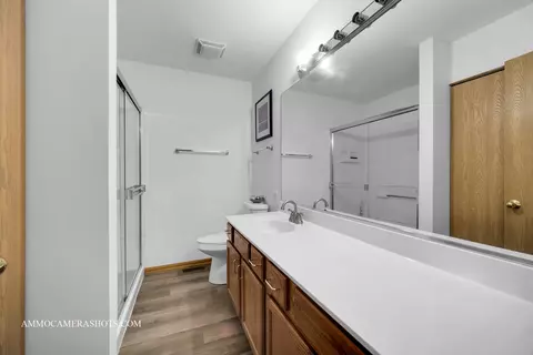 Bath - 1058 Delta Dr, Elgin, IL 60123 photo 3 of 3