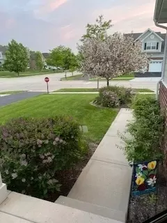 Other - 1266 Falcon Ridge Dr, Elgin, IL 60124 photo 9 of 9